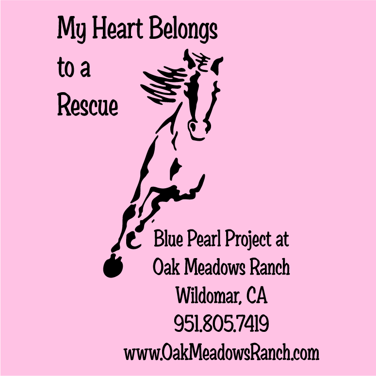 Blue Pearl Project at Oak Meadows Ranch Horse Rescue Youth T Shirt Fundraiser shirt design - zoomed