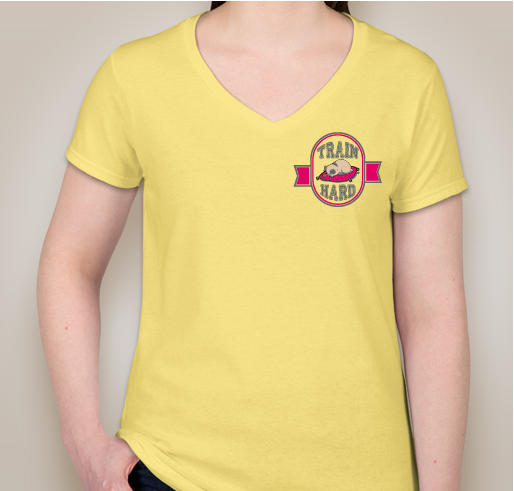 Gildan Ladies 100% Cotton V-Neck T-shirt