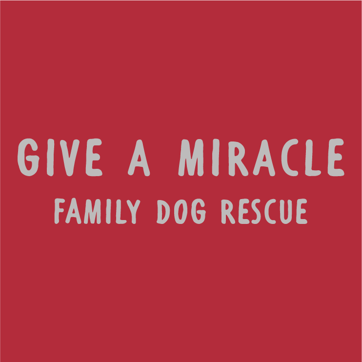 Give a Miracle, Save a Life shirt design - zoomed