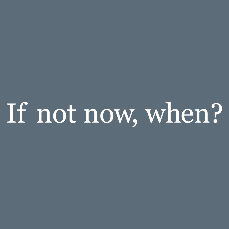 Havurah: If Not Now, When? shirt design - zoomed